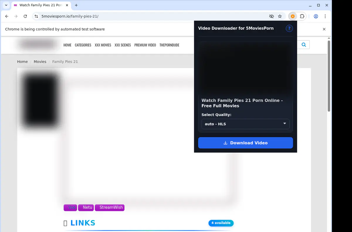5moviesporn Video Downloader screenshot 3